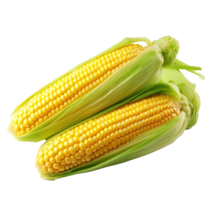 HEINSBERG%20AGROALLIED%20FARMS%20LTD