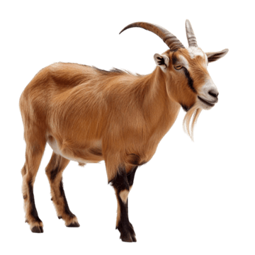 HEINSBERG%20AGROALLIED%20FARMS%20LTD
